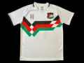 24-25 short-sleeved retro tricolor strip Palestine