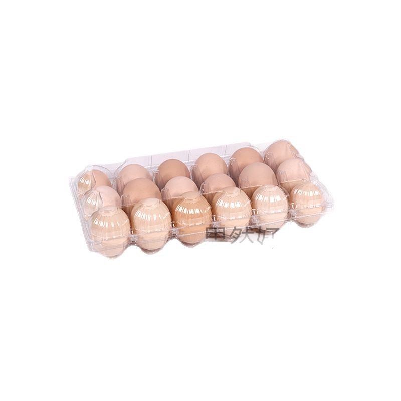 Sample Plastic Transparent Egg Tray Disposable Egg Packaging Box Gift Box Thickened