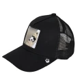 Raccoon Black