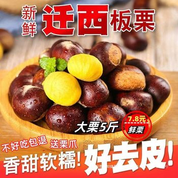 2024 Qianxi Chestnuts Fresh Chestnuts Authentic Yanshan Oil Chestnuts Hebei Wild Chestnuts 2.5kg Large Fruits 3113 Raw Chestnuts