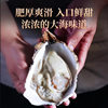 Authentic Rushan Oysters 2.5kg Packs of Fresh Rushan Oysters Fresh Sea Oysters Shipped by Sf Express Catering Procurement Wholesale