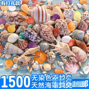 Free Shipping Natural Conch Shell Coral Platform Fish Tank Landscaping Decoration Hermit Crab Handmade Drift Bottle Set