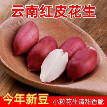 Red-Skinned Peanuts, Small Farm-Grown Raw Peanuts, Red-Skinned Peanuts, Red Rice Peanuts, Small Red Peanuts