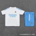 2526h horse white with light blue