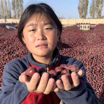 [Directly Shipped from Xinjiang]25 New Authentic Xinjiang Specialty Ruoqiang Dried Gray Dates Original Bulk Red Dates Wholesale