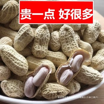 New Longyan Boiled Peanut White Sun Dried Salt Boiled Salty Dry Wet Roasted 500gx2 Bags with Shells Cooked Snack Specialty