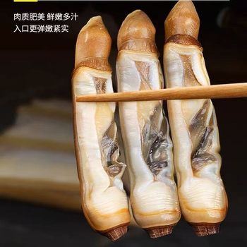 Fresh Frozen King Clam Meat Seafood Bamboo King Clam Fresh Frozen Sea Clam Meat Fresh Commercial Wholesale