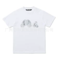 White decapitated bear