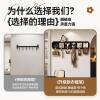 2025 New High-Looking Clothes Hanger Without Punching Decorative Hook Clothes Bag Storage Artifact Wall Hanging Storage Rack