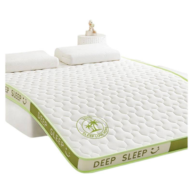 Latex Memory Foam Mattress Cover Home Cushion Bedroom Dormitory Student Single and Double Tatami Sponge Mat