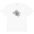 M119 white