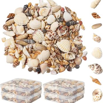 Natural Shell Conch Starfish Hermit Crab Replacement Shell Hand DIY Shell Photo Frame Fish Tank Landscaping Large Conch Shell