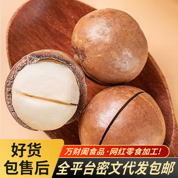 Creamy Macadamia Nuts in Thin Bags, Walnut Nuts, Roasted Seeds and Nuts Snacks, Milky Macadamia Nuts