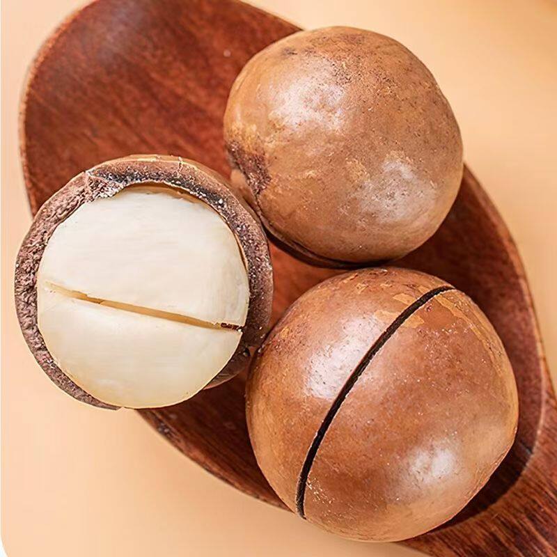 Macadamia Nut Cream Flavored Thin-Skinned Large Fruit Bagged Open Milk-Flavored Walnut Nut Snack Macadamia Nuts