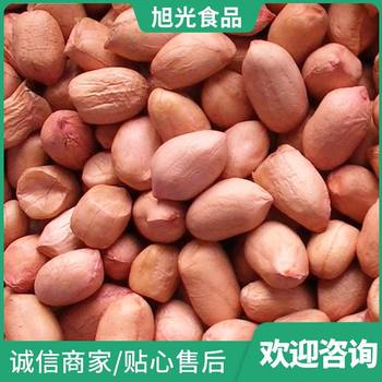 Wholesale Supply Baisha Peanuts, Fresh Shelled Baisha Peanuts, Peanut Kernels, Plump Shandong Manufacturers