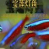 Zebrafish Traffic Light Fish Tropical Freshwater Live Ornamental Angel Pet Small Treasure Lotus Lantern Peacock Group Swimming Fish