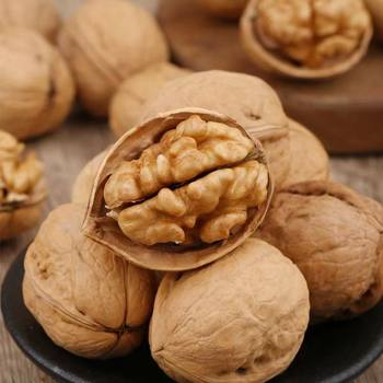 Xinjiang 185 Paper-Skinned Raw Walnuts New Arrival Large Fruit Wholesale 500g Hand-Pinch Ready-To-Open Full Thin-Skinned Xinjiang Raw Walnuts