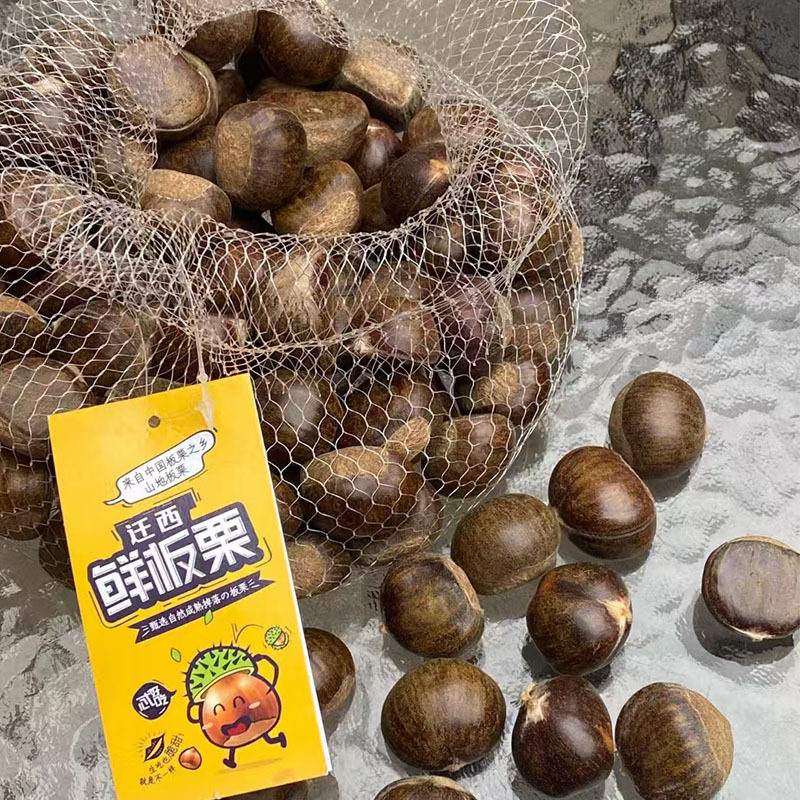 [Jd Express]Qianxi Chestnuts Raw Chestnuts Seasonal Fresh Chestnuts Soft, Glutinous, and Sweet Whole Box 2 Pounds 2kg Color Box