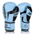 1H Boxing Gloves Space Blue