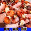 Premium Frozen Large Fresh Live Lobster Tails, Quick-Frozen with Ice Coating, Spicy Garlic Sauce Crayfish Semi-Finished Product for Commercial Use