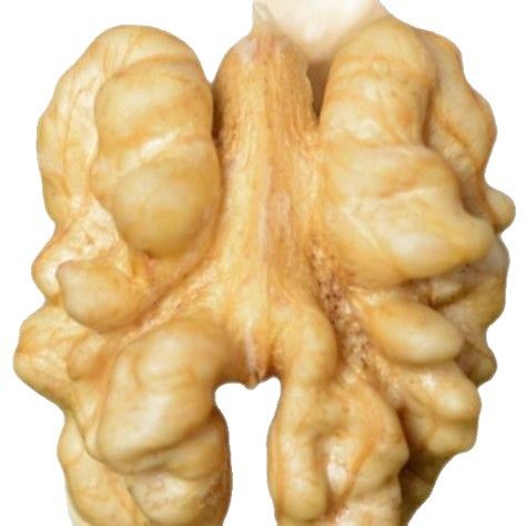 New Original Flavor Walnut Kernels 500g Xinjiang 185 Whole Raw Walnut Kernels Nut Raw Material Snacks