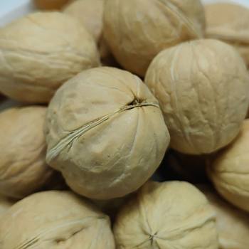 Xinjiang Paper-Thin Walnuts, Original Color, 25-Year-Old New Walnuts Wholesale, Large-Sized, Unbleached, Aksu 185 Thin-Shell Natural