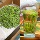 2026 Новый чай премиум-класса Mingqian Bird tongue Tea Весенний чай с бамбуковыми зелеными альпийскими ростками Зеленый чай с птичьим языком Mingqian Whole bud высокого качества mini 5