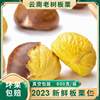 Fresh Raw Chestnut Kernels Peeled Vacuum Raw Chestnuts Artificially Peeled Chestnut Meat Raw Chestnuts Commercial Source Factory
