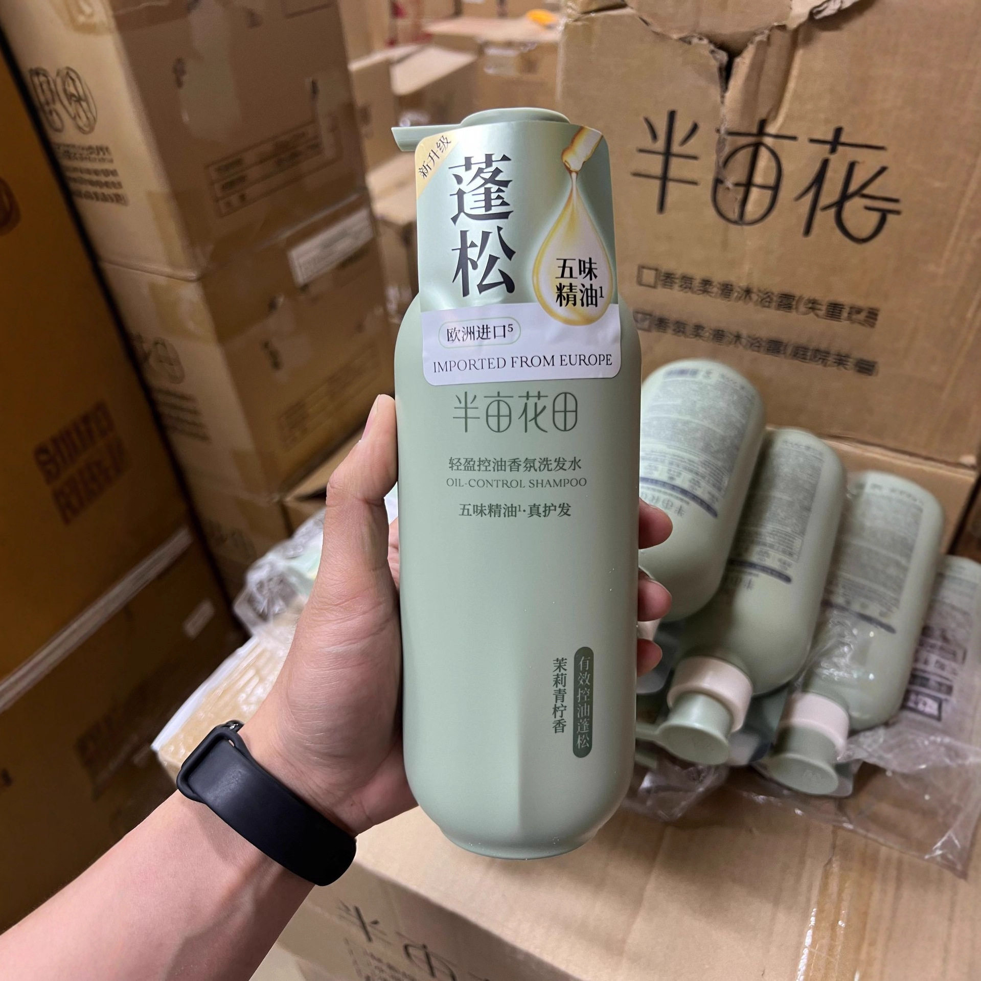 Half an Acre of Flower Fields Shampoo Fragrance Anti-Dandruff Fluffy Oil Control Anti-Itch Smooth Shampoo Long-Lasting Fragrance Hair