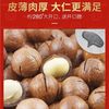 Macadamia Nuts Whole Box 2.5kg Bulk Creamy Pecans Original Raw Dried Fruit 5kg Wholesale Flagship Store