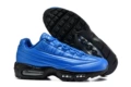 95 blue (image)