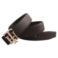 Th gold buckle + brown