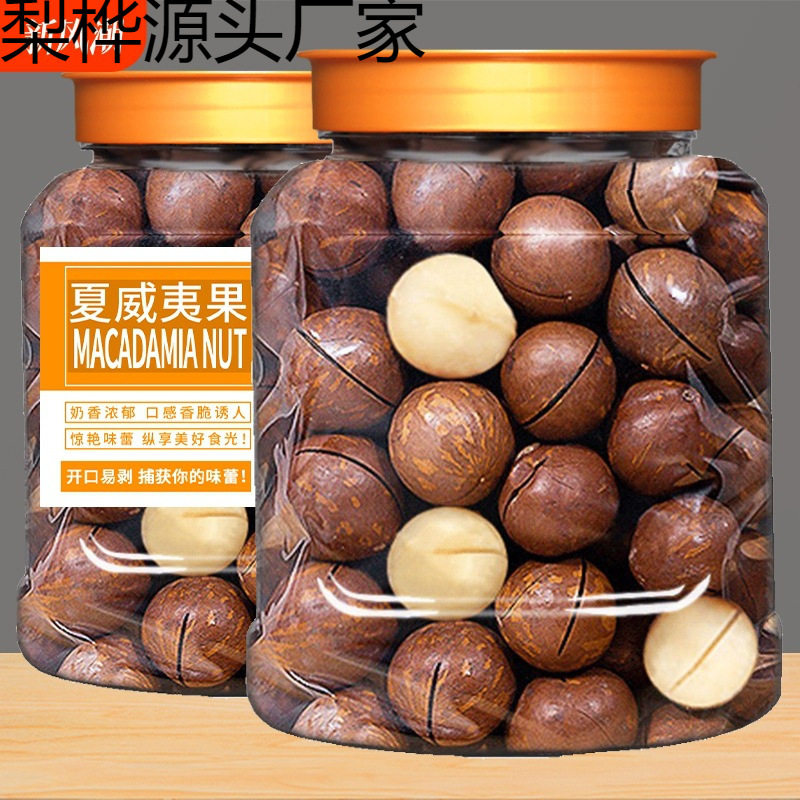 New Arrival Macadamia Nuts 500g Canned Summer Fruit Bulk New Year Dried Fruit Snacks Pecan Nuts Good Products