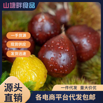 Authentic Jian'Ou High Mountain Chestnuts 2.5kg Whole Box Fresh Wild Chestnuts from Farmhouse, Raw Chestnuts Wholesale with Free Shipping and Delivery