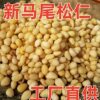 Daxinganling Wild Pine Nuts Original Flavor 250g Vacuum Northeast Specialty Mature Dried Nuts Yan Pine Nuts Original Flavor