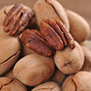 New Arrival Pecan Longevity Fruit Large Particle Creamy Nut Dried Fruit Snack Pecan
