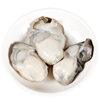 Oyster Meat, Frozen Oyster Meat, Freshly Shucked Oyster Meat, Oyster Meat, Fresh Grilled Oyster Meat