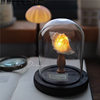 Ocean Island Retro Shell Sea Urchin Conch Lamp Night Light Ornament Handmade Material Pack Mid-Autumn Festival