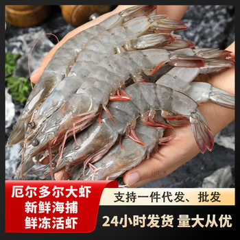 Ecuadorian Large Shrimp, Fresh Quick-Frozen Super Large Shrimp, Salt-Frozen South American Shrimp, Seafood Aquatic Shrimp