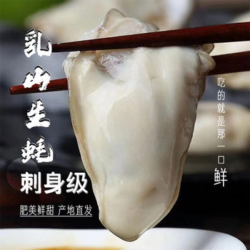 [Jingdong Express]Shandong Rushan Fresh Oysters Seafood Whole Box of 2.25kg Oysters