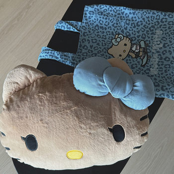 Yejia's Same Kt Blue Leopard Print Blanket Office Nap Blanket Quilt Flannel Warm Fragrance Blanket Two-In-One