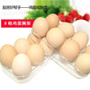 Egg Carton Refrigerator Storage Box Home Kitchen Plastic Food Preservation Box Rectangular Egg Tray Egg Grids Egg Rack