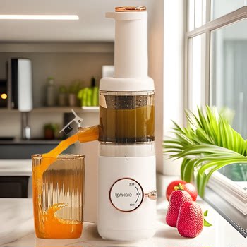 Original Juice Extractor for Home Use, Fully Automatic Juicer with Pulp Separation, Small Multifunctional Slow-Speed Fruit and Vegetable Juicer