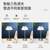 Cross-Border Rechargeable Ambient Light Table Lamp Creative Bar Decoration Outdoor Camping Led Night Light USB Rechargeable Model