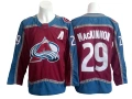 Avalanche-avalanche team 29
