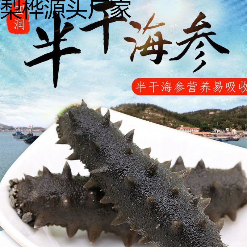 Dalian Semi-Dried Sea Cucumber Salted Sea Cucumber Semi-Dried Jar Salted Sea Cucumber 40-80 Heads Shipped from the Original Place of Production