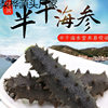 Dalian Semi-Dried Sea Cucumber Salted Sea Cucumber Semi-Dried Jar Salted Sea Cucumber 40-80 Heads Shipped from the Original Place of Production