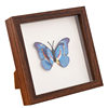 hollow three-dimensional glass photo frame diy butterfly specimen frame dried flower photo frame setting table photo frame hollow specimen frame customization