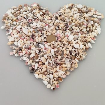 Mini Natural Conch Shell Small Mixed Stickers for Children DIY Handmade Decoration Starfish Photo Frame Drift Bottle