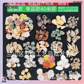 ✞ Shells, Fish Tank Landscaping, More Than 40 Models, Wholesale by the Pound, Colorful Shells, Small White Shells, Fish Tank Landscaping, Mediterranean Decoration, Sea